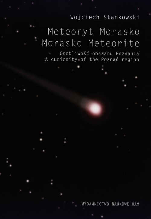 Meteoryt Morasko