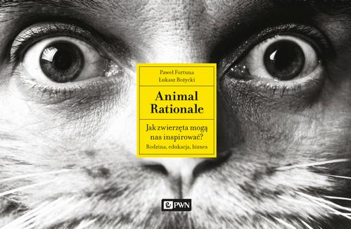 MP3 Animal Rationale