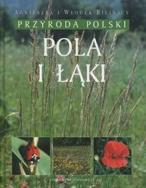 Pola i łąki - Przyroda Polski