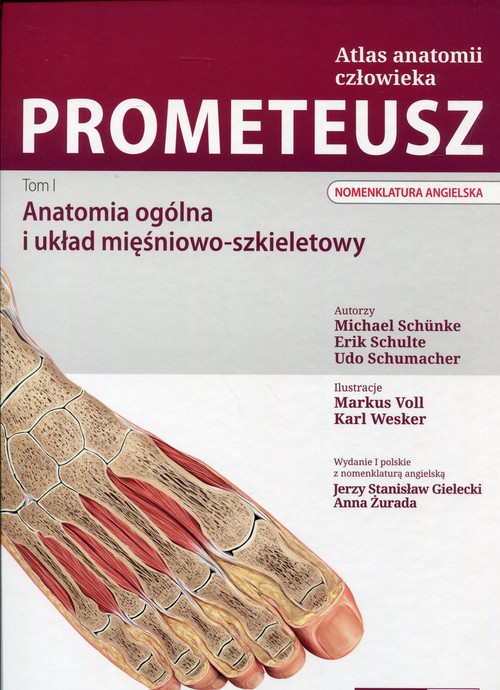 Prometeusz Atlas anatomii człowieka Tom 1