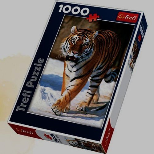 Puzzle 1000 Tygrys syberyjski