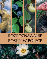 Rozpoznawanie roślin w Polsce