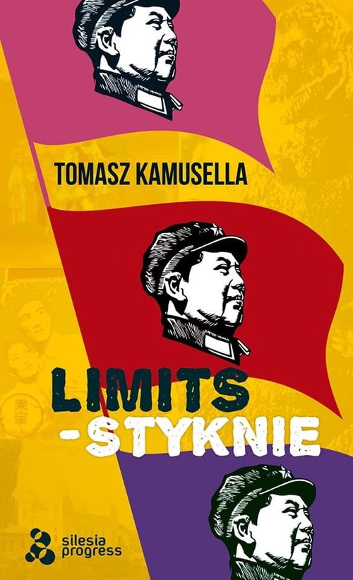 Styknie / Limits / Silesia Progress