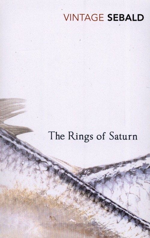 The Rings Of Saturn