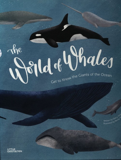 The World of Whales Get to Know the Giants of the Ocean