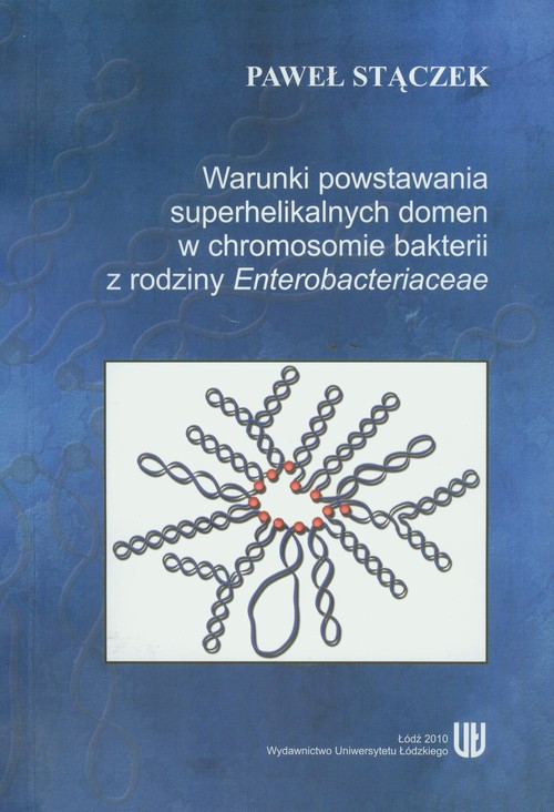 Warunki powstania superhelikalnych domen w chromosomie bakterii z rodziny Enterobacteriaceae