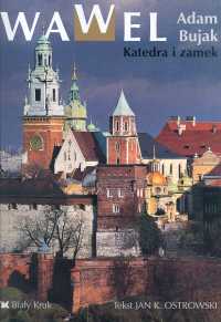 Wawel katedra i zamek