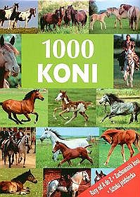 1000 Koni