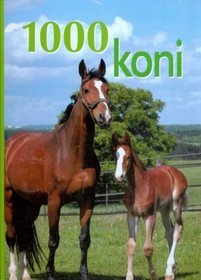 1000 koni