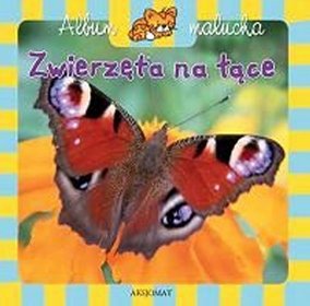 Album malucha Zwierzęta na łące