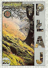 Almanach karpacki - Płaj tom 20