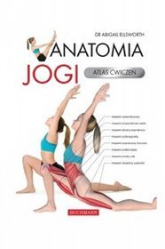 Anatomia jogi