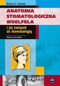 Anatomia stomatologiczna Woelfela i jej związek ze stomatologią