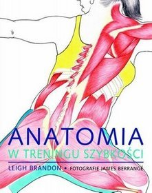 Anatomia w treningu szybkości