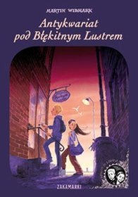 Antykwariat pod Błękitnym Lustrem
