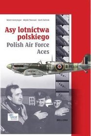 Asy polskiego lotnictwa