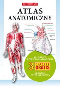 Atlas anatomiczny