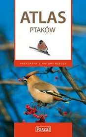 Atlas ptaków