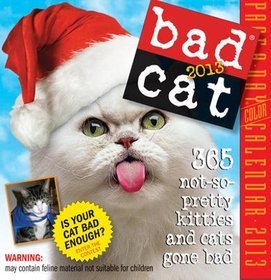 Bad Cat PAD 2013