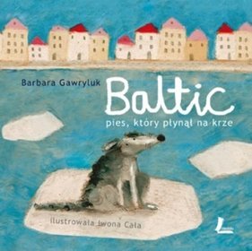 Baltic pies ktory płynął na krze