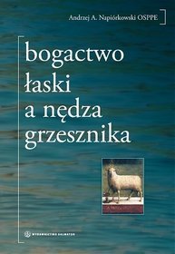 Bogactwo łaski a nędza grzesznika