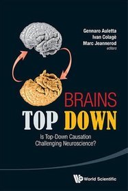 Brains Top Down