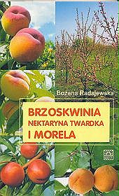 Brzoskwinia, nektaryna twarda i morela