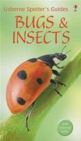 Bugs and Insects