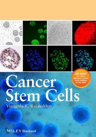 Cancer Stem Cells