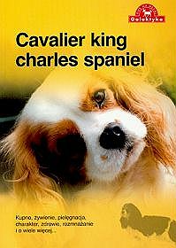 Cavalier King charles spaniel