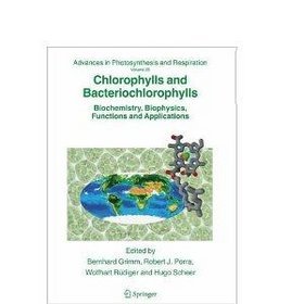 Chlorophylls  Bacteriochlorophylls