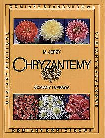Chryzantemy - odmiany i uprawa