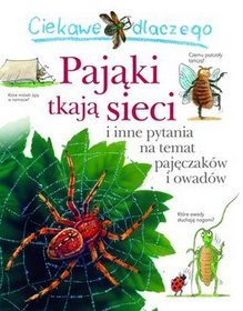 Ciekawe dlaczego Pająki tkają sieci