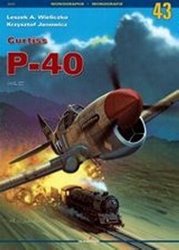 Curtiss P-40 VOL. III