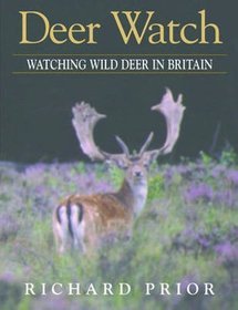 Deer Watch