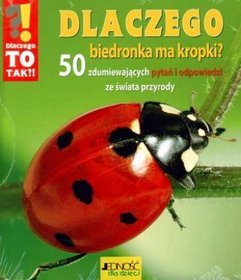 Dlaczego biedronka ma kropki