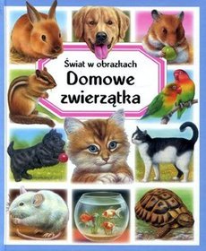 Domowe zwierzątka. Świat w obrazkach