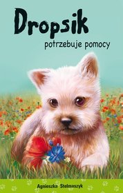 Dropsik potrzebuje pomocy Kto mnie przytuli