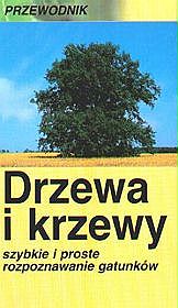 Drzewa i krzewy - przewodnik