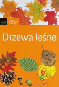 Drzewa leśne
