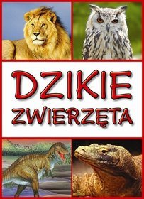 Dzikie zwierzęta