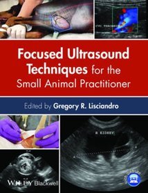 Focused Ultrasound Techniques for the Small Animal Practitioner