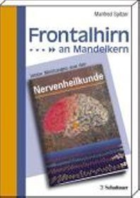 Frontalhirn an Mandelkern