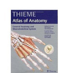 General Anatomy and Musculoskeletal System