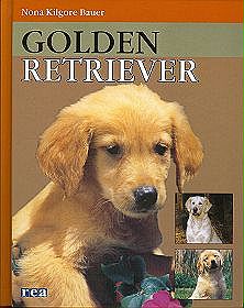 Golden Retrievier