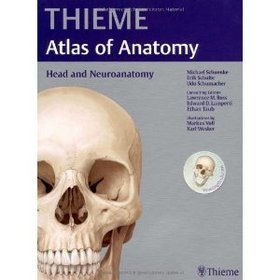 Head and Neuroanatomy
