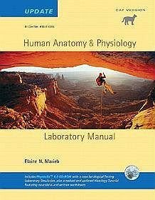 Human Anatomy  Physiology