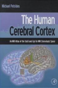 Human Cerebral Cortex