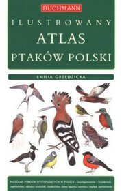 ILUSTROWANY ATLAS PTAKÓW POLSKI