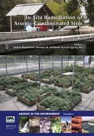 In-Situ Remediation of Arsenic-Contaminated Sites